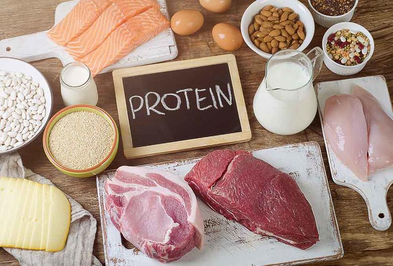 Cần cung cấp đủ lượng protein cho cơ thể